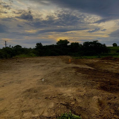 Land clearing Land clearing
